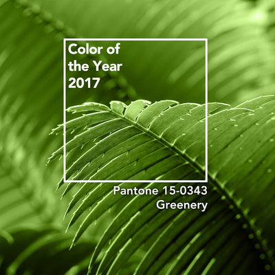 Pantone Farbe des Jahres 2017 - Greenery